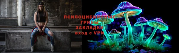 ECSTASY Алзамай