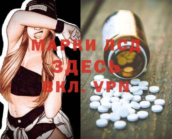 ECSTASY Алзамай