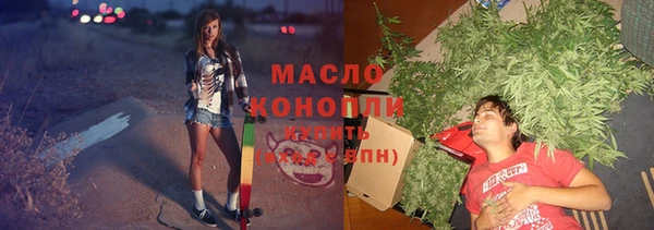 СК Алексин