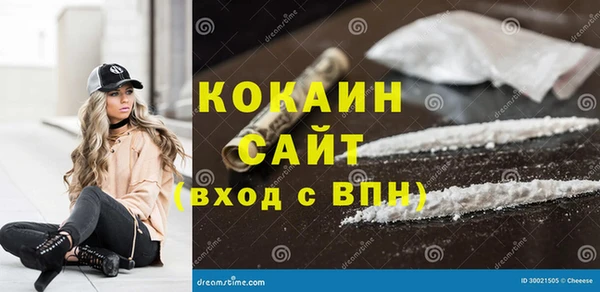 СК Алексин